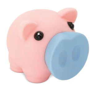 HUCHA CERDITO