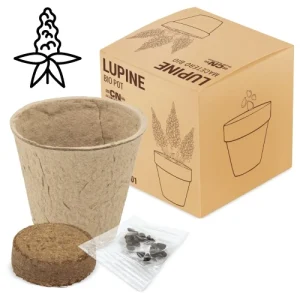 VASO BIO LUPINE "RAMILLETE"