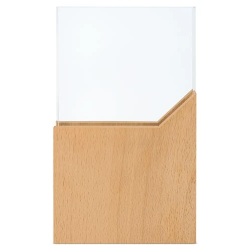 TROFÉU "MEGA" - Image 4
