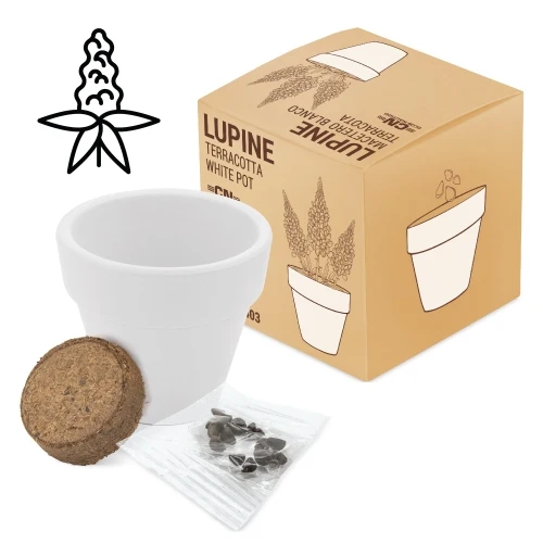VASO TERRACOTA "WHITE" - Image 2
