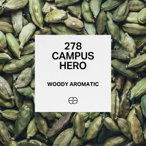 278 Campus Hero