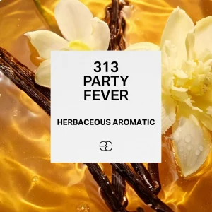 313 Party Fever