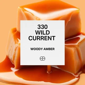 330 Wild Current