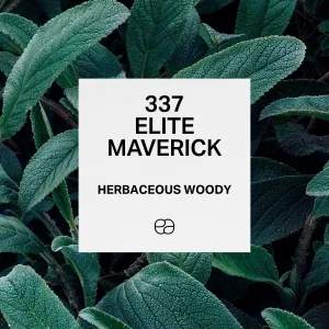 337 Elite Maverick