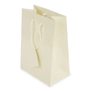 BOLSA PRESENTE PLASTIFICADA